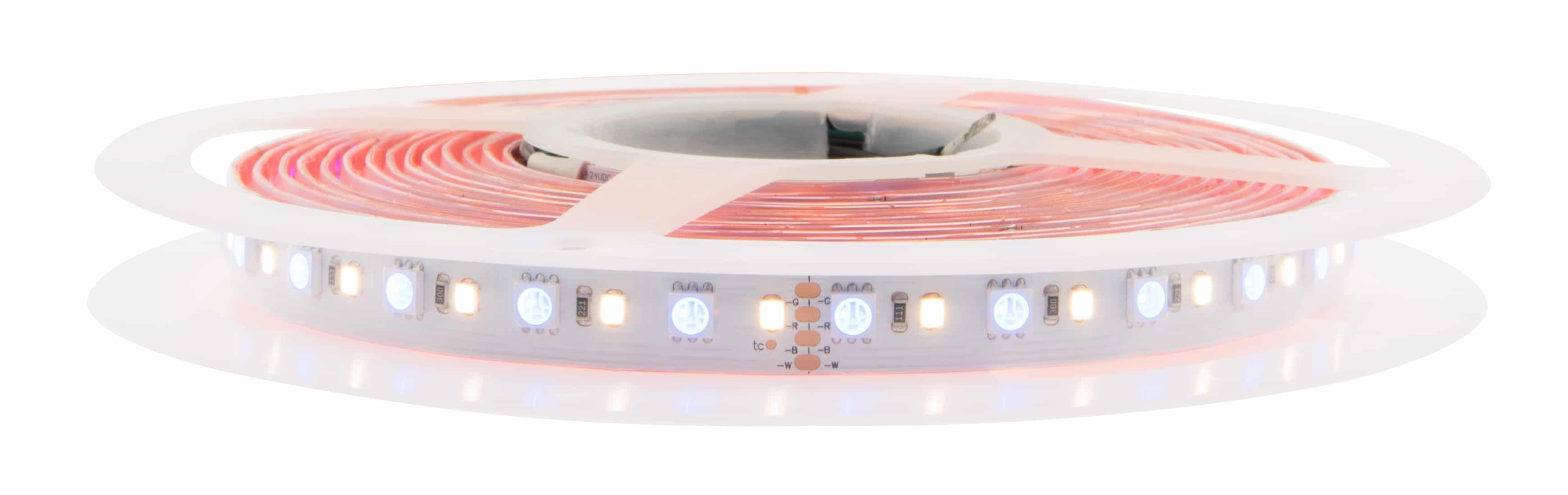 LED Flexstrip 115 RGBW - IP44 - Indoor | CRI/RA 90+