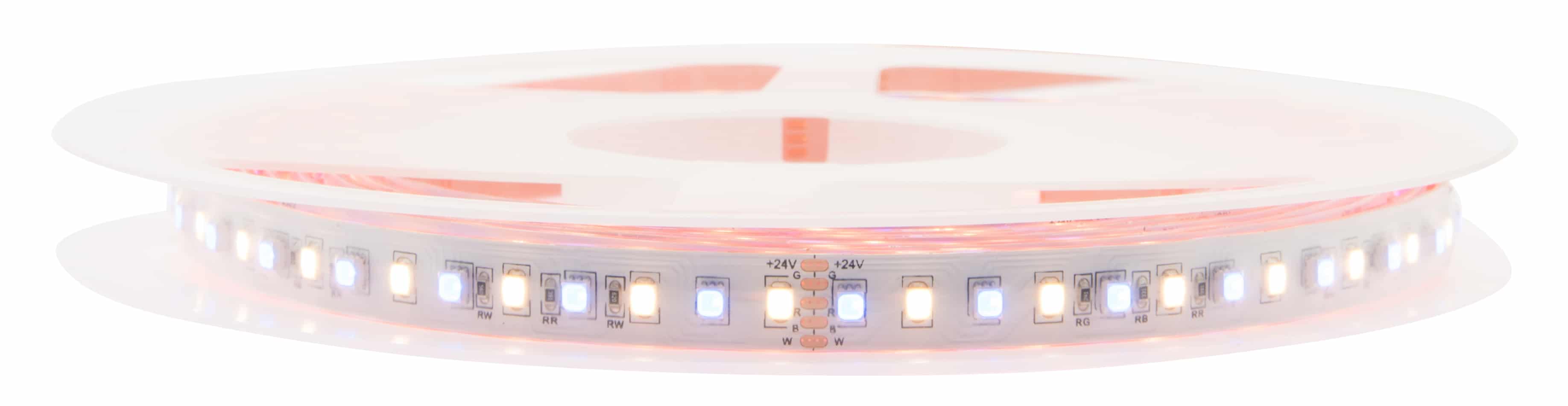 LED Flexstrip 80 RGBW - IP44 - Indoor | CRI/RA 90+